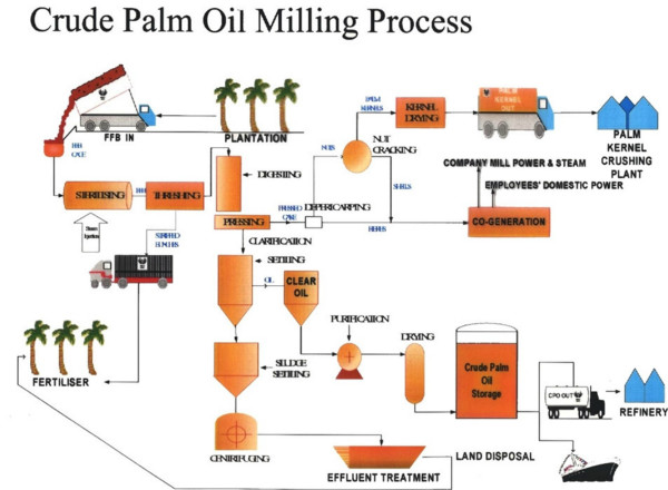 Palm oil processing flow chart