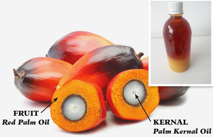 What is the prospect of palm kernel oil ?_Palm Oil Extraction FAQ