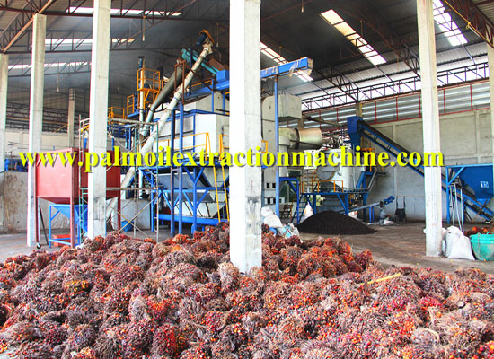 2015 Palm oil Industry Trend