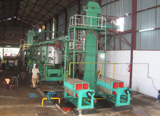 palm oil pressing line