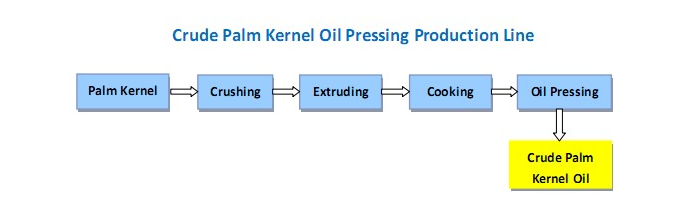Palm number Oil Processing Flow