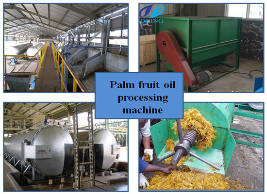 (FFB) Palm fruit oil processing plant