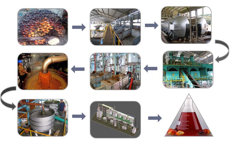 palm oil processing 