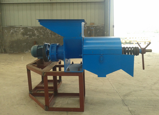 Palm oil extraction press machinery hot sale in Kenya, Senegal