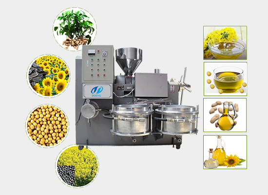 Rapeseed oil press machine working video