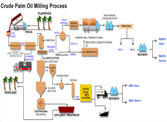 Large scale palm oil mill processing machine
