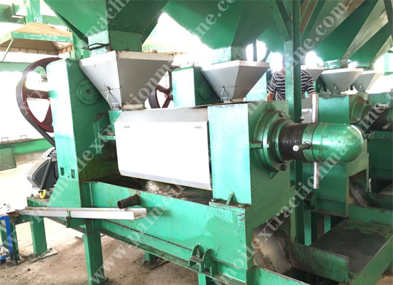 Palm Kernel expeller