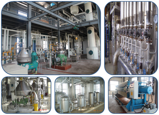 Palm kernel oil refining process machinery