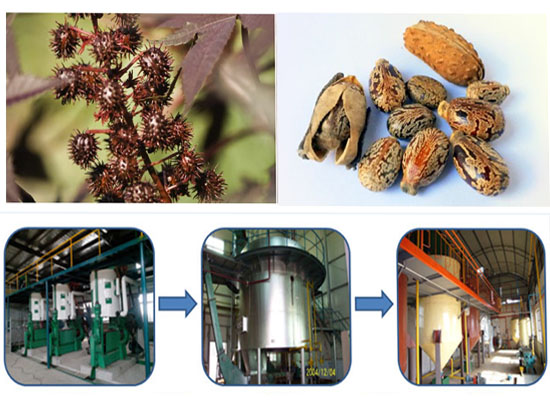 How to extract castor oil from castor seeds?