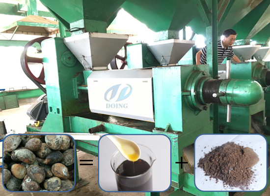 Palm kernel expeller/extract palm kernel oil machine