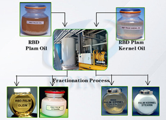 Palm oil refinery plant/palm oil fractionation and crystallization process