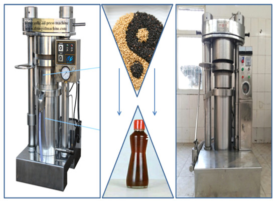 Hydraulic oil press machine/hydraulic press machine manufacturers