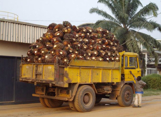 Palm Oil Mill