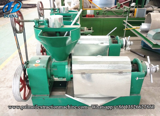 5tpd palm kernel oil processing project