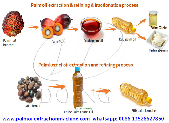 Hydrogenated Palm Kernel Oil - Elburg Global