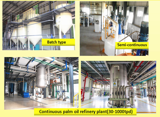 1-1000tpd palm oil refinery plant
