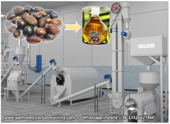 Small scale palm kernel oil processing machine, palm kernel oil production machine 3D animation video