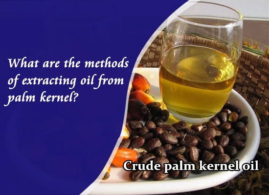 How to Start a Palm Kernel Oil Extraction Company_Palm Oil Extraction FAQ