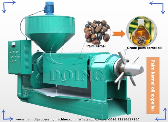 500kg/h palm kernel oil press machine, palm kernel oil expeller machine introduction video