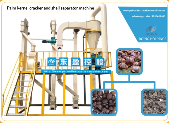 Palm nuts cracker and shell separator machine running video