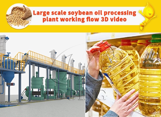 Soybean oil milling processing machine working flow 3D video