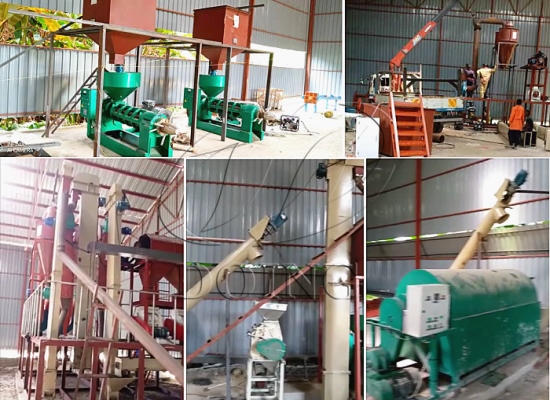5tph palm kernel cracking and separating machine project and 1tph palm kernel oil processing plant project in Uganda