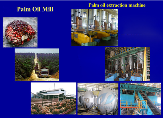 Would it be a profitable business idea to open a palm oil extraction plant in India right now?