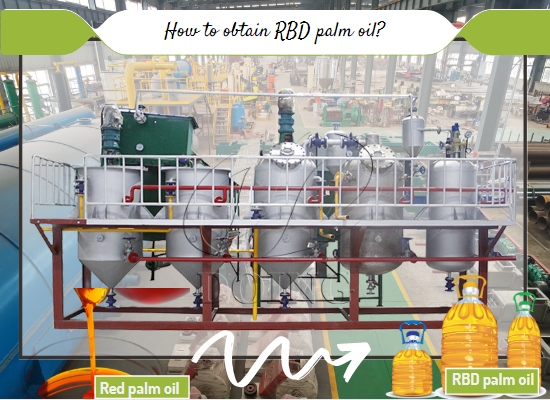 How much does it cost to setup a mini palm oil refining plant?