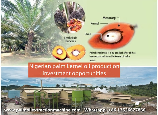 6 Reasons Why Palm Kernel Oil Production in Nigeria is a Smart Investment