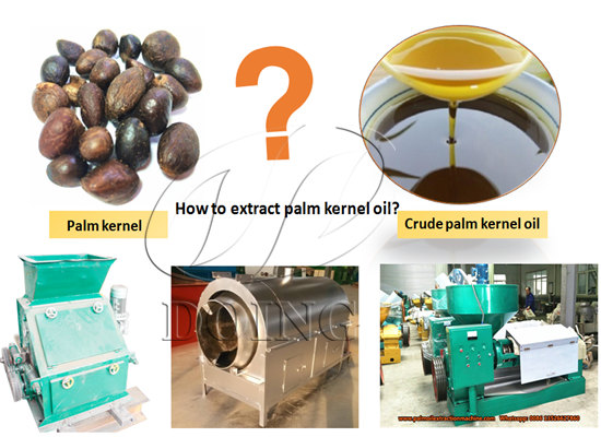 How do you process palm kernel nuts to get palm kernel oil?
