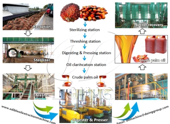 How many hectares palm fruit plantation does it take to make one ton of palm oil?