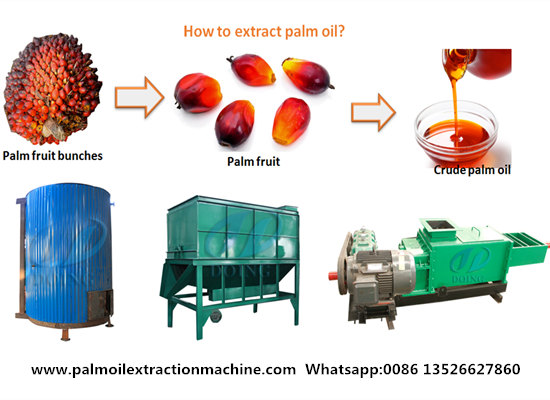 How many liters of palm oil can a palm tree produce?