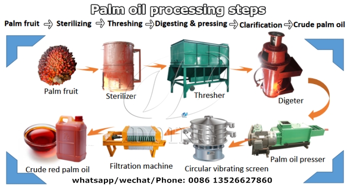 Palm oil production steps.jpg