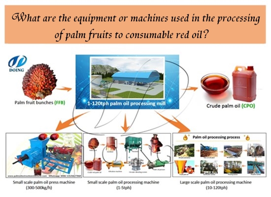 How is palm oil extracted?
