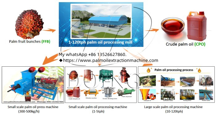 Palm oil processing plants with different processing capacities.jpg