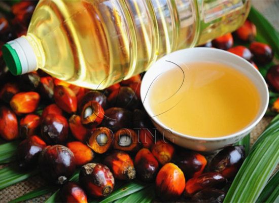 How to Produce Palm Oil Using Palm Oil Mill Machines in Ghana？