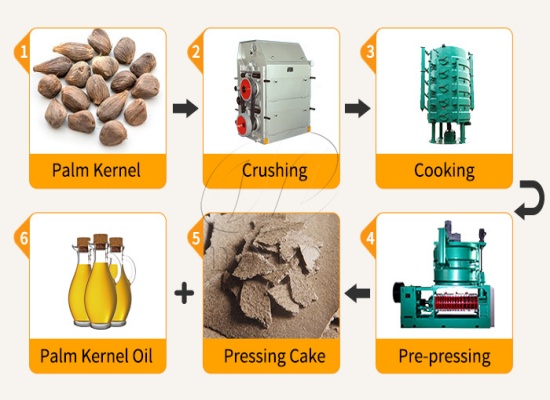 How to establish a 10-20 t/d palm kernel oil extraction factory in Lagos, Nigeria?