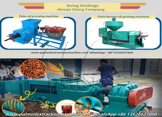 Why Nigerian mills prefer combined palm oil and palm kernel oil processing lines?