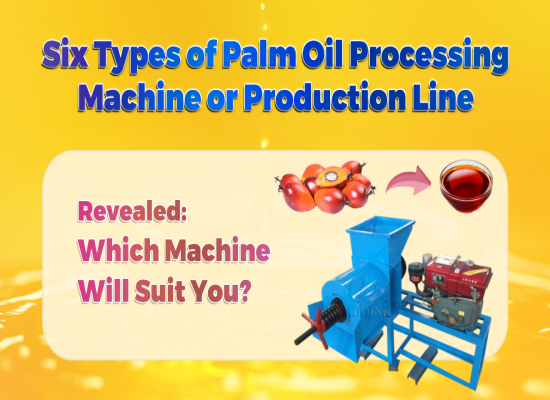 Introduction video of six different types of palm oil processing machine and production lines