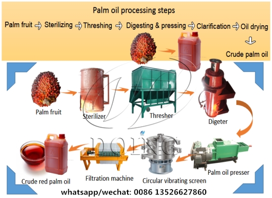 Common bottlenecks in palm oil production lines and how to eliminate them