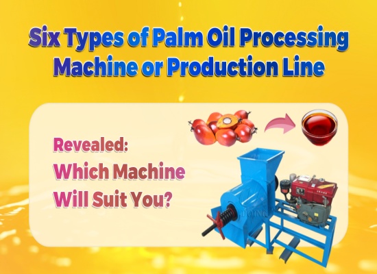 Introduction video of six different types of palm oil processing machine and production lines