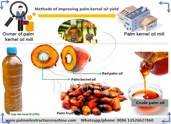 From palm oil to kernel oil: turnkey solutions for expanding your processing plant