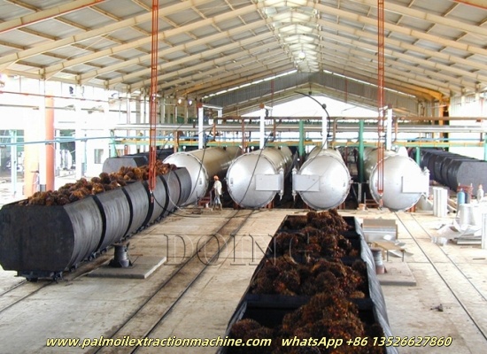 Introduction of Henan Glory's different palm fruit sterilization equipment