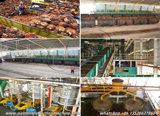 How does a modern industrial palm oil processing plant produce palm oil?