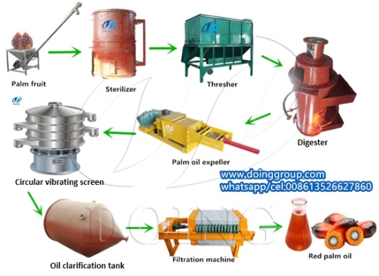 How does palm oil extraction plant work and what steps do you need to follow to extract it?