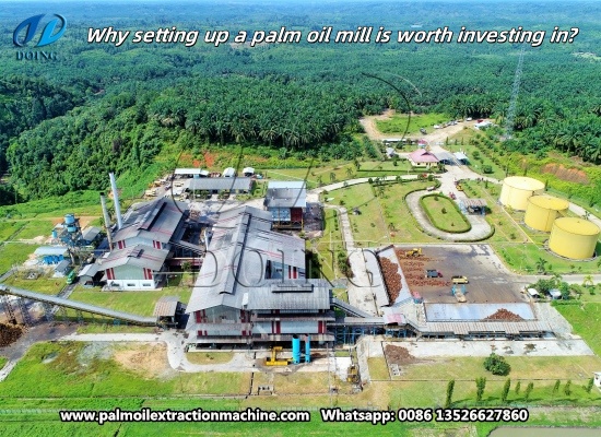 Why setting up a palm oil mill is worth investing in?