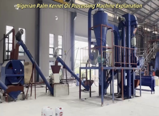 Feedback Video of Palm Kernel Oil Processing Plant Successfully Installed for Nigerian Customer