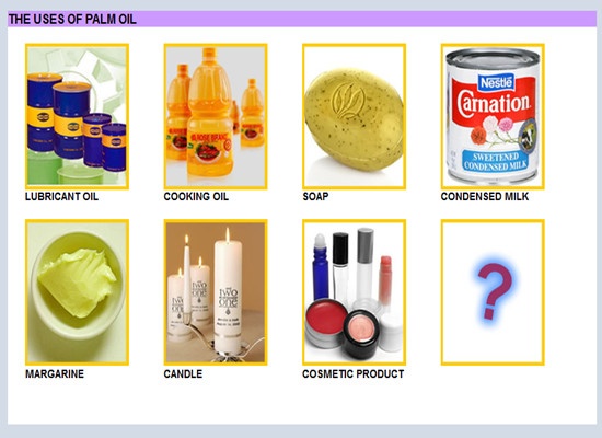 What is usage of palm oil?
