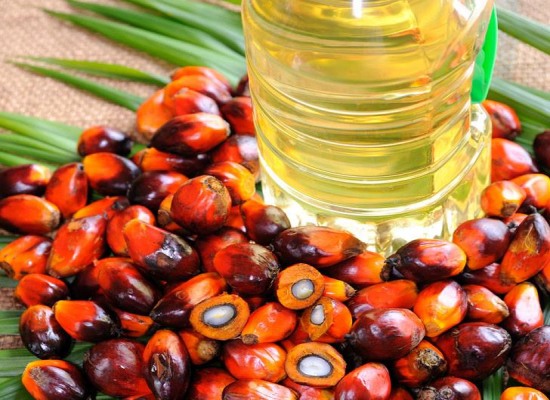 What Are the Factors Affecting the Quality of Palm Oil?