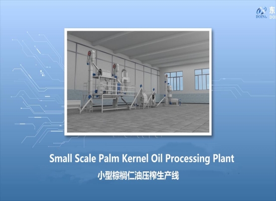 Small scale palm kernel oil processing plant 3D layout & equipment showcase video